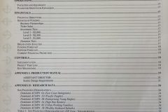 1_ChaoticArtCircus-BUSINESS-PLAN-Table-of-Contents-pg2-2001-scaled-e1771018888652